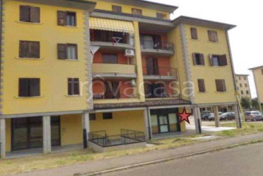 immagine annuncio 7 di 11