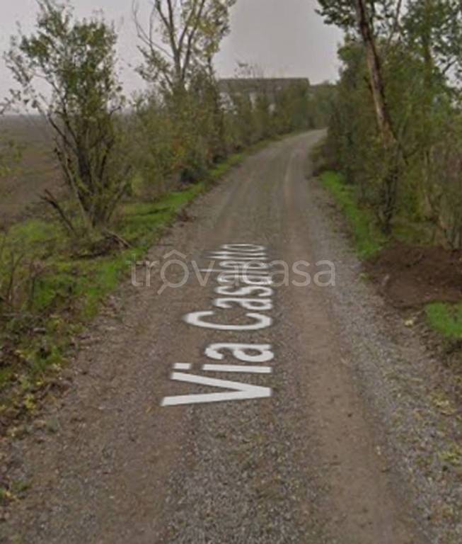 immagine annuncio 6 di 11