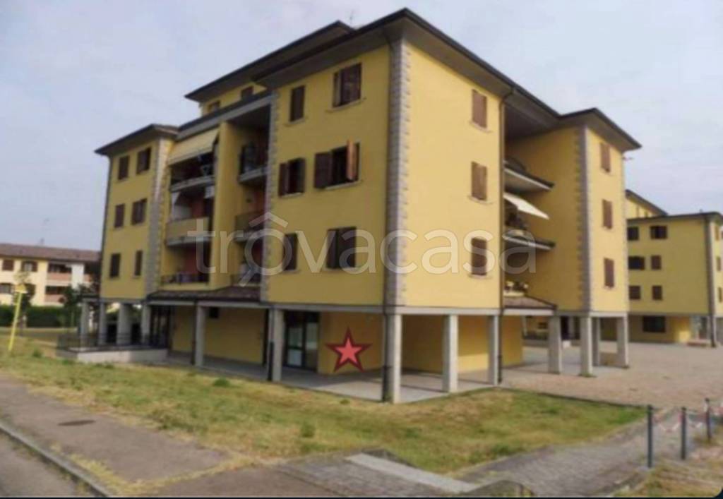 immagine annuncio 10 di 11