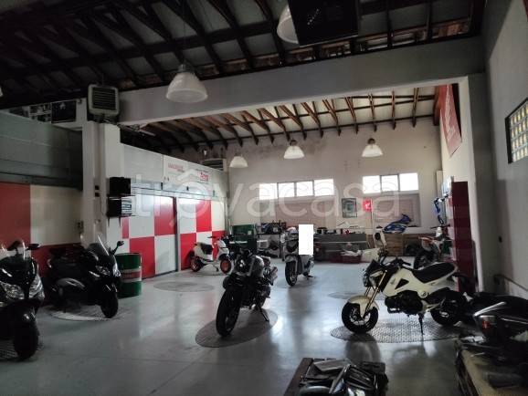 immagine annuncio 12 di 15