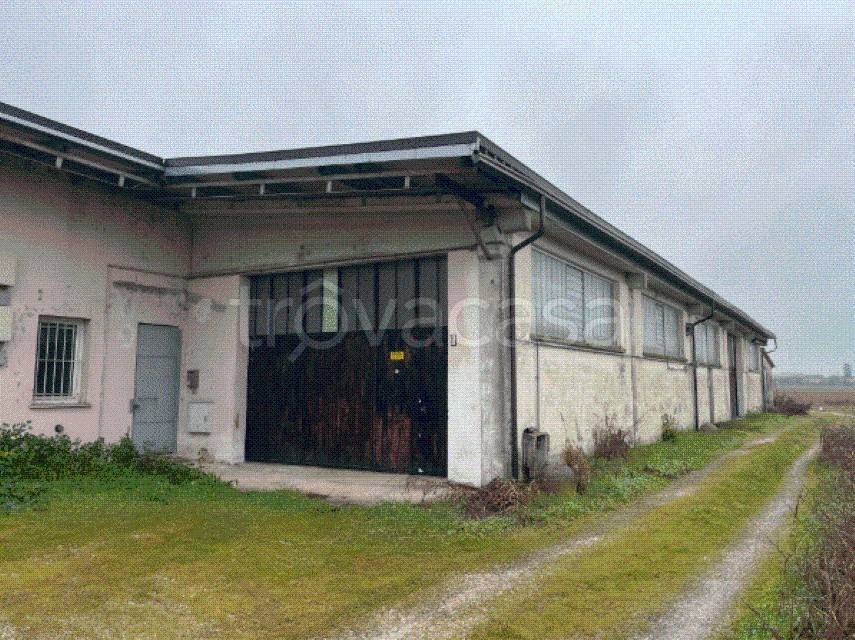 immagine annuncio 8 di 12