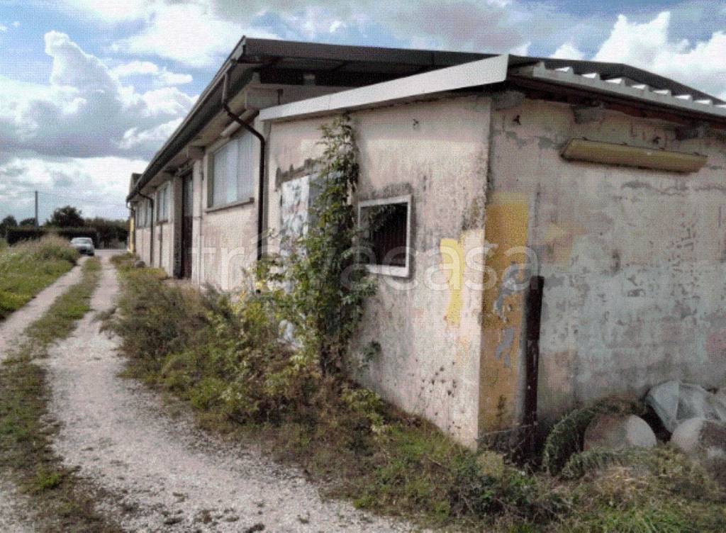 immagine annuncio 9 di 12