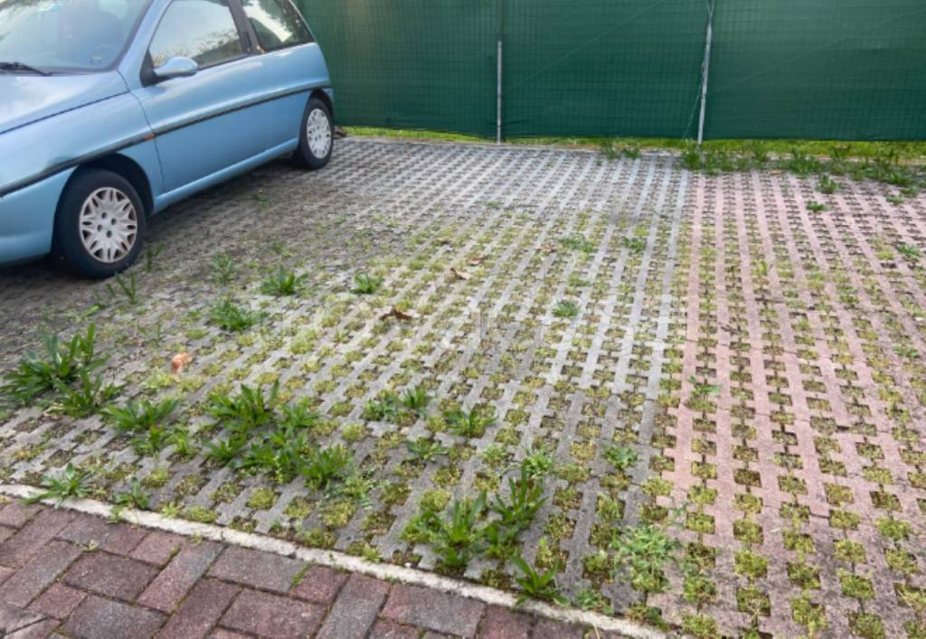 immagine annuncio 4 di 11