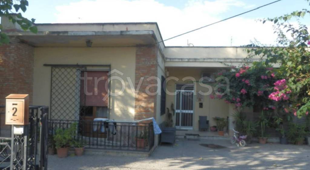 immagine annuncio 2 di 14