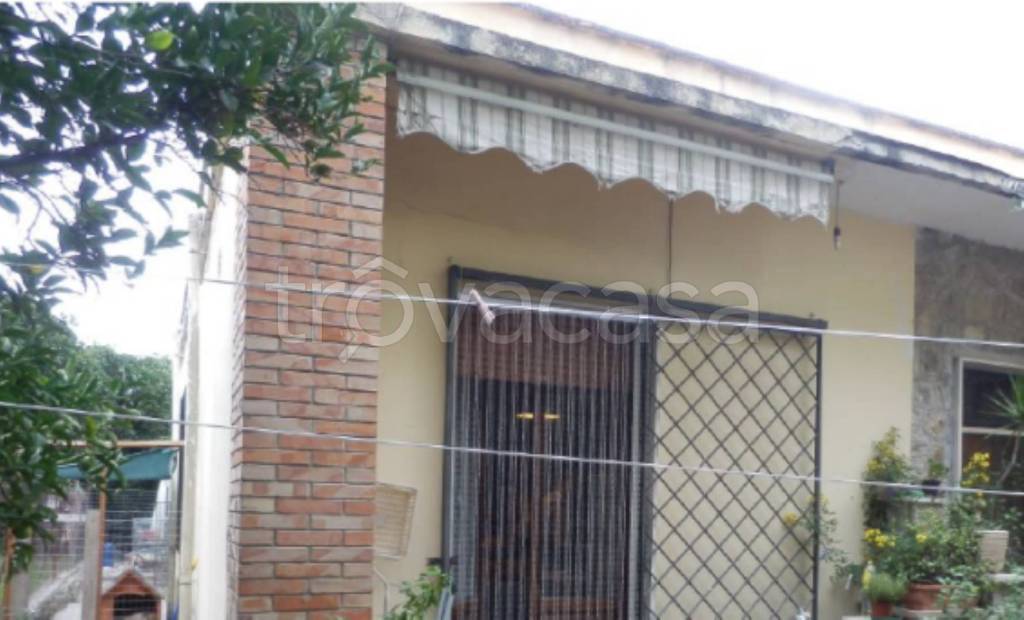 immagine annuncio 5 di 14