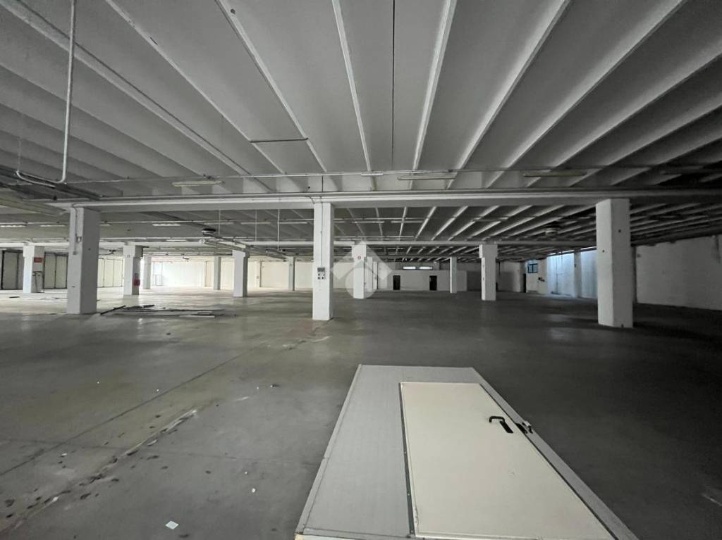 immagine annuncio 2 di 13