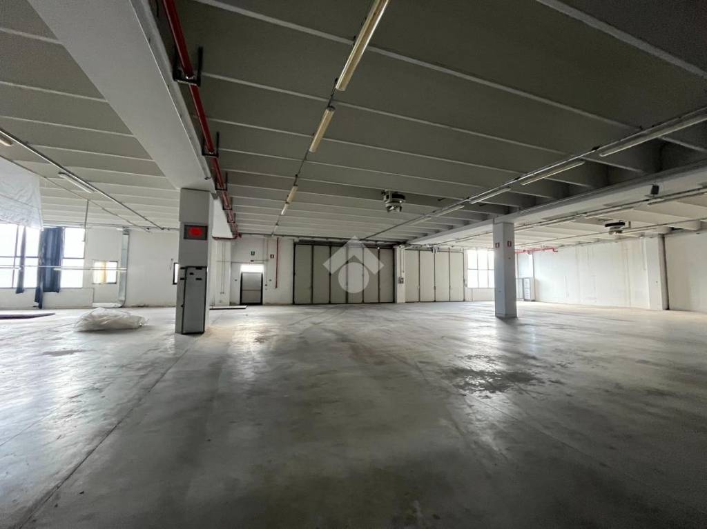 immagine annuncio 3 di 13