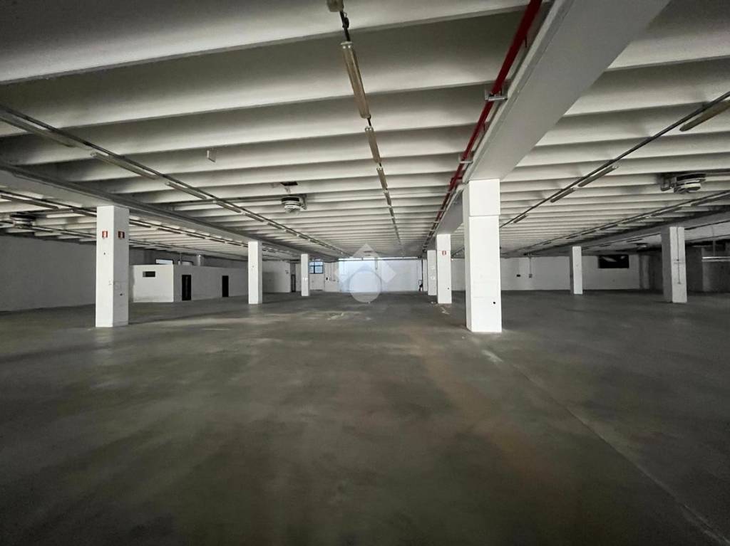 immagine annuncio 4 di 13