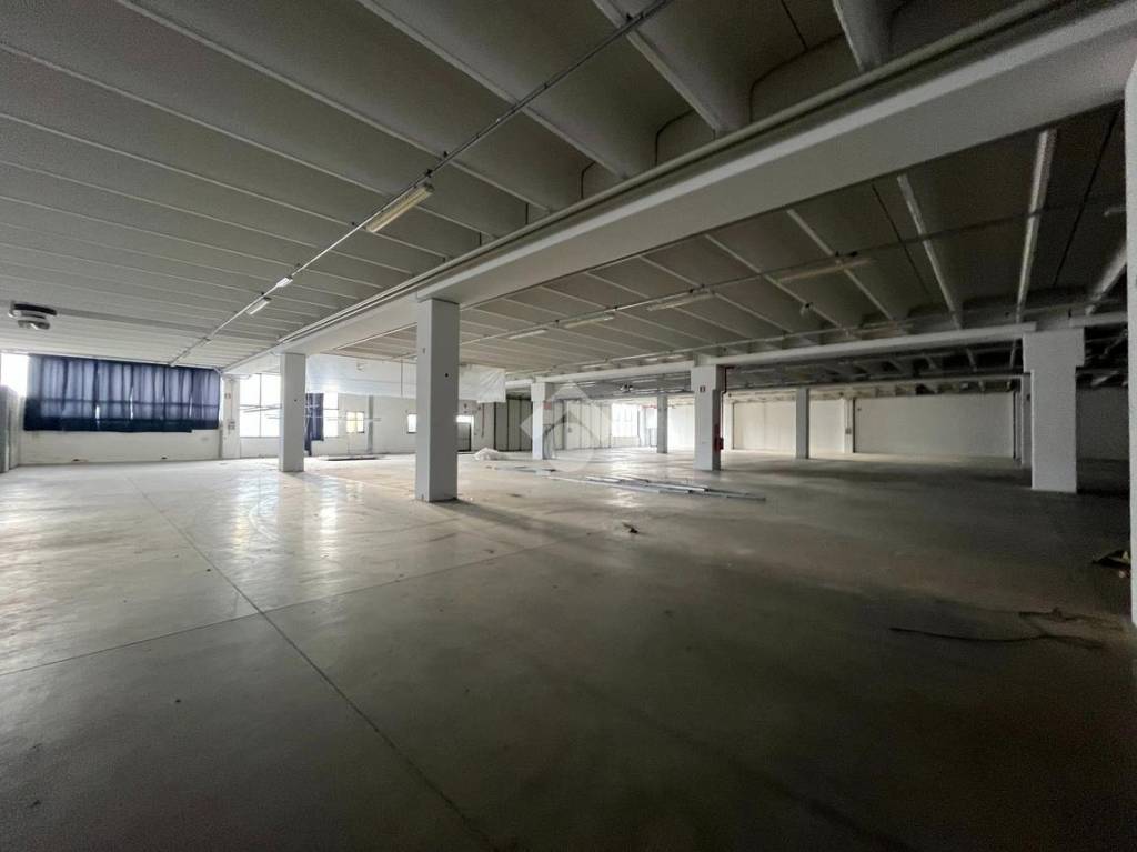 immagine annuncio 7 di 13