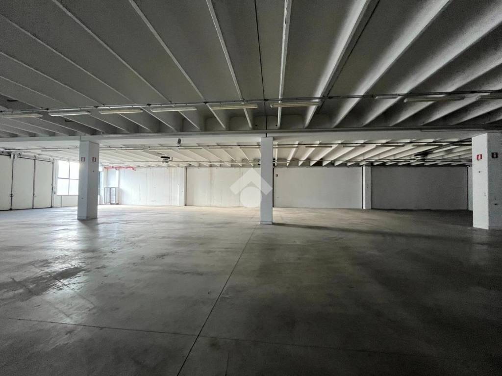 immagine annuncio 9 di 13