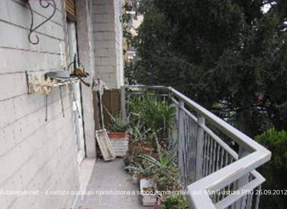 immagine annuncio 5 di 9