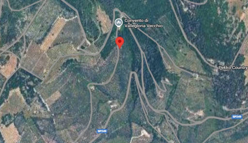 immagine annuncio 8 di 11