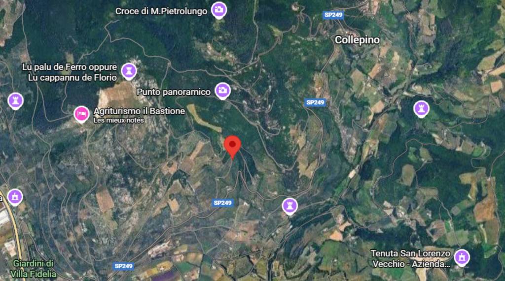 immagine annuncio 2 di 11