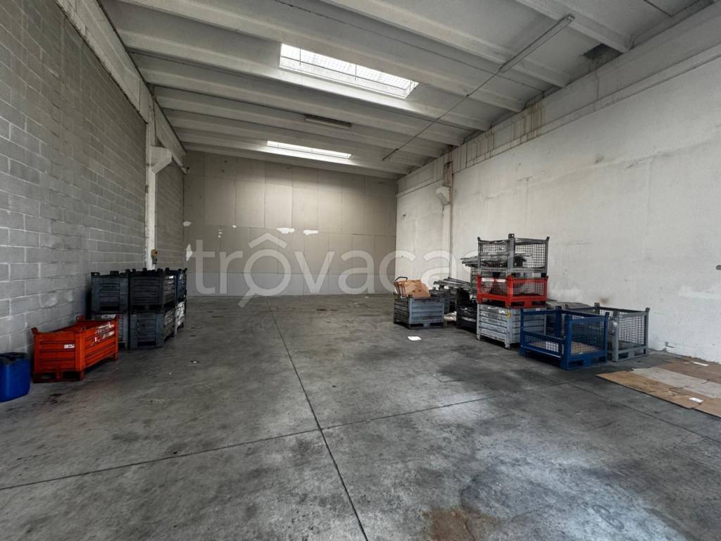 immagine annuncio 4 di 7