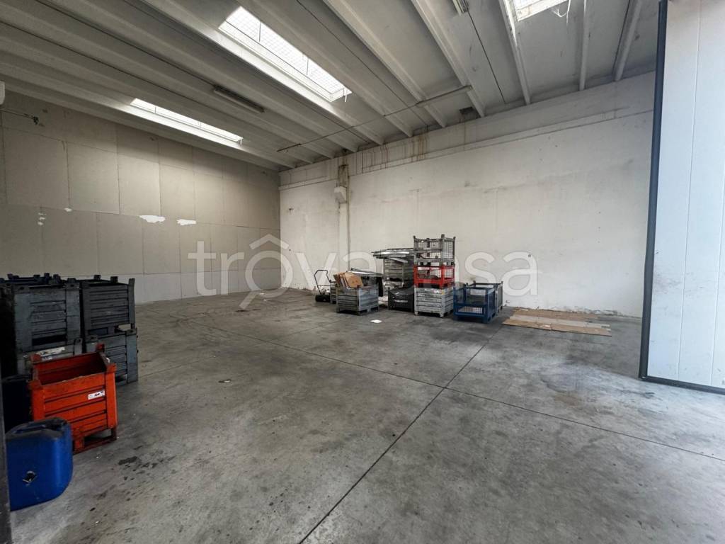 immagine annuncio 5 di 7