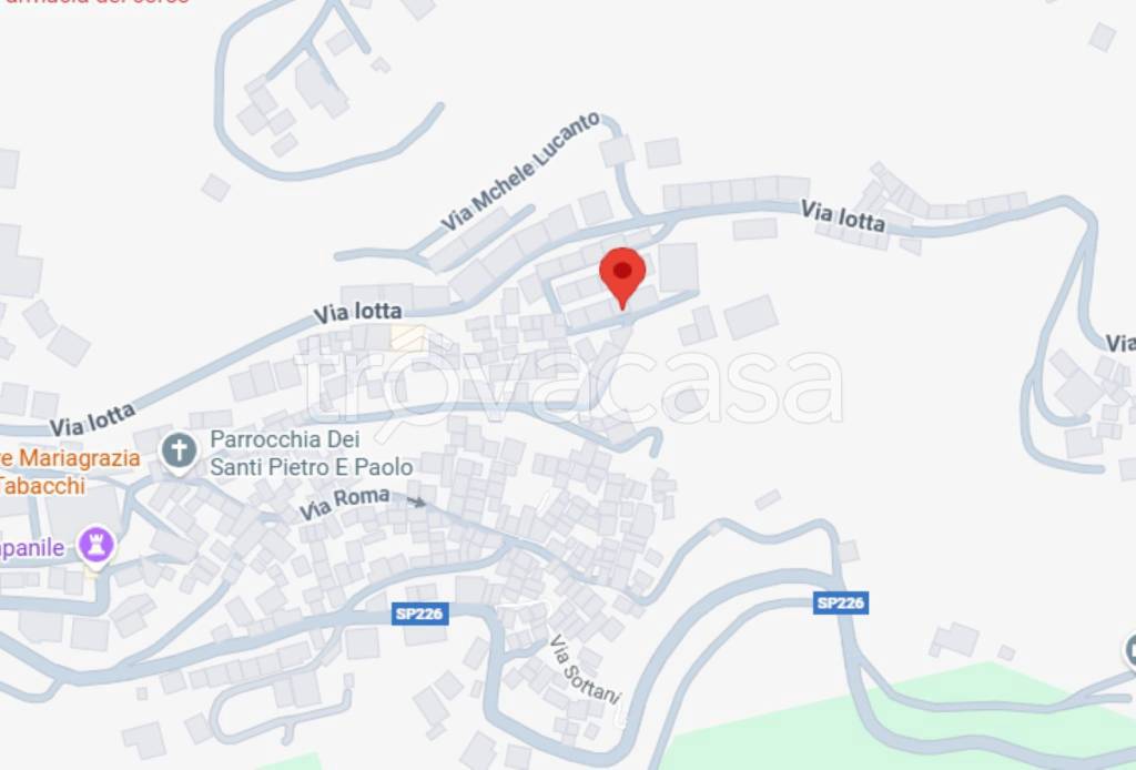 immagine annuncio 4 di 13