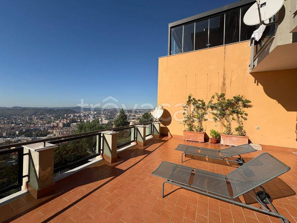 immagine annuncio 3 di 4