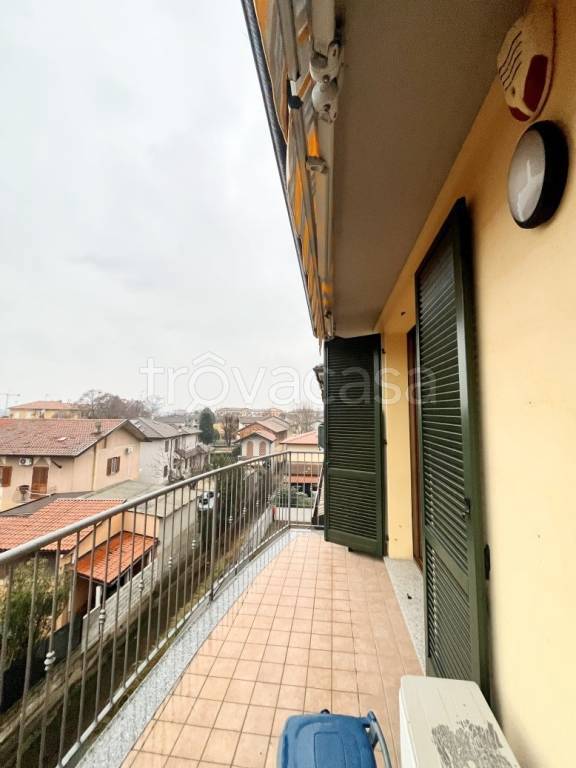 immagine annuncio 12 di 15