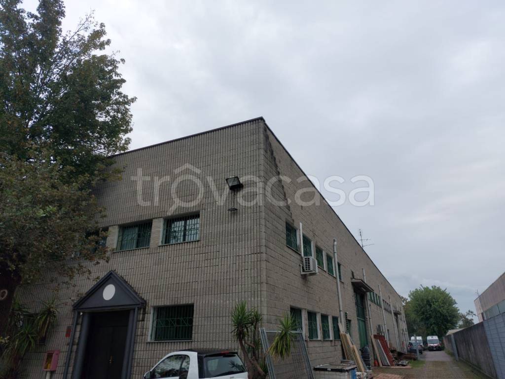 immagine annuncio 4 di 15