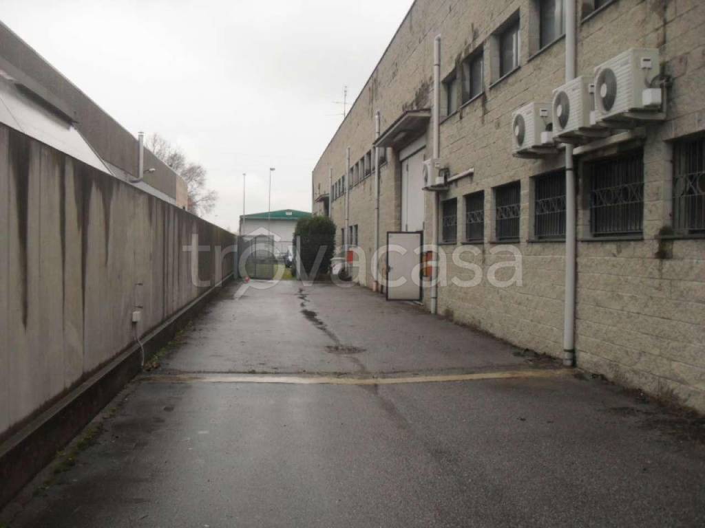 immagine annuncio 8 di 15