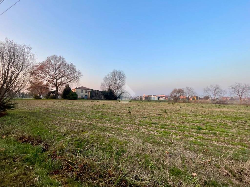 immagine annuncio 4 di 11