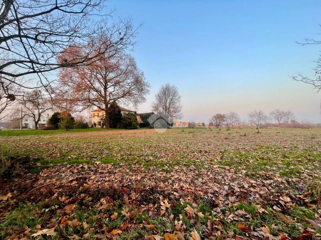 immagine annuncio 5 di 11