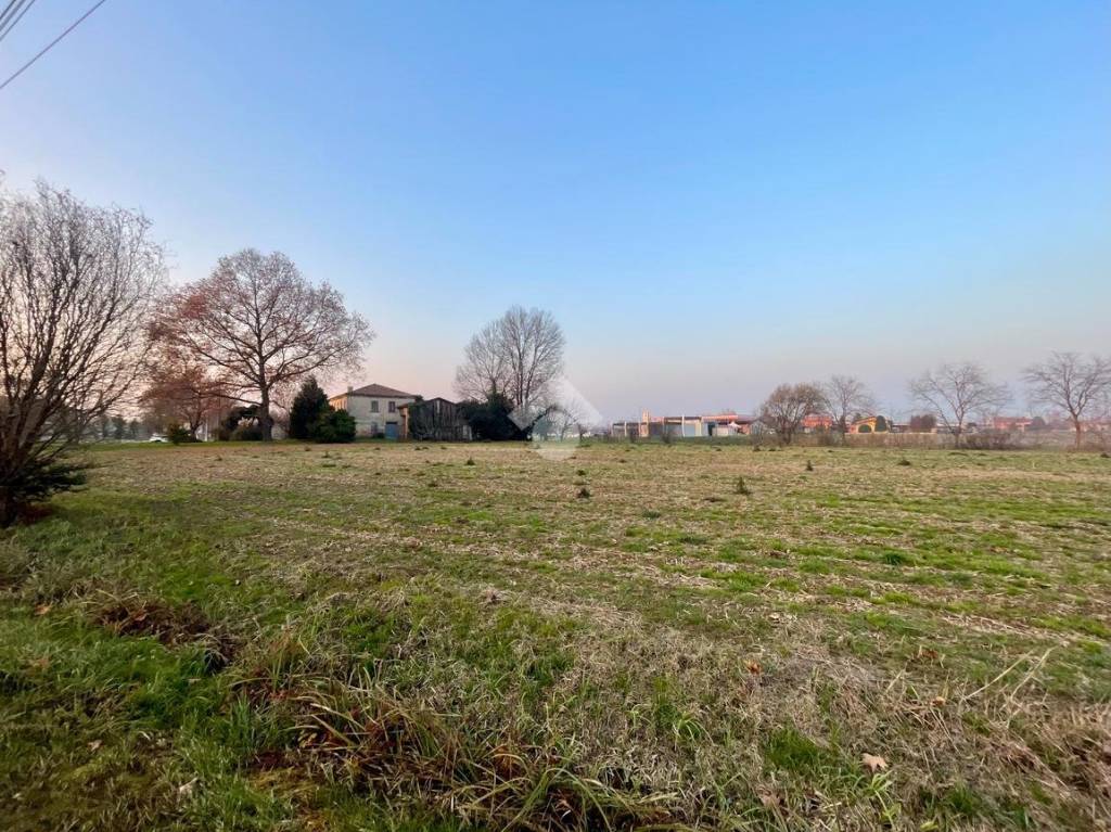 immagine annuncio 6 di 11