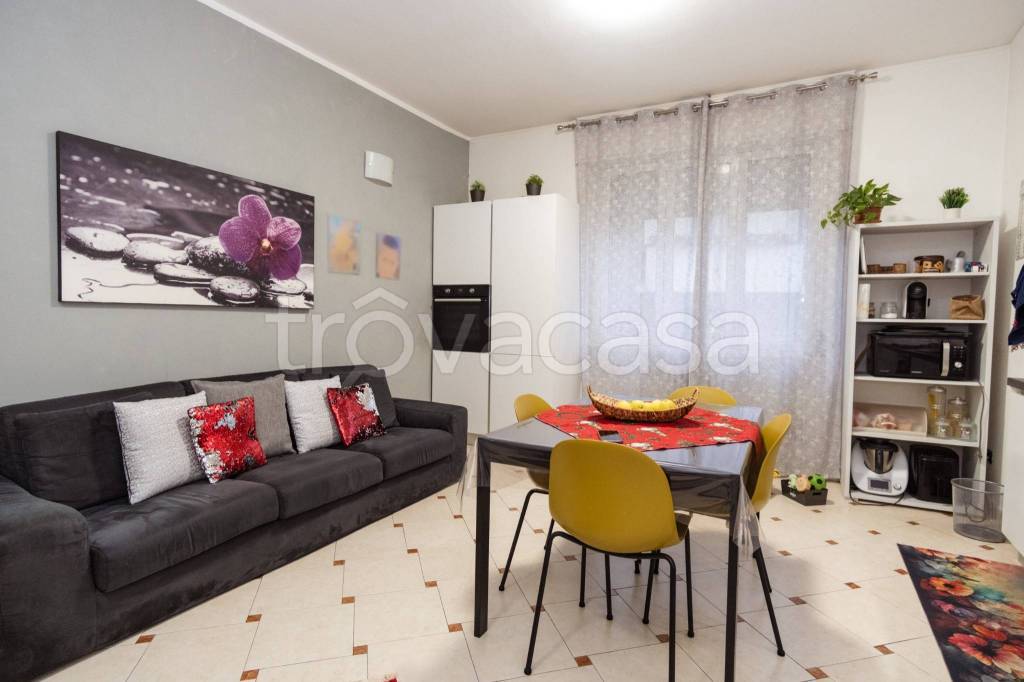 immagine annuncio 1 di 15