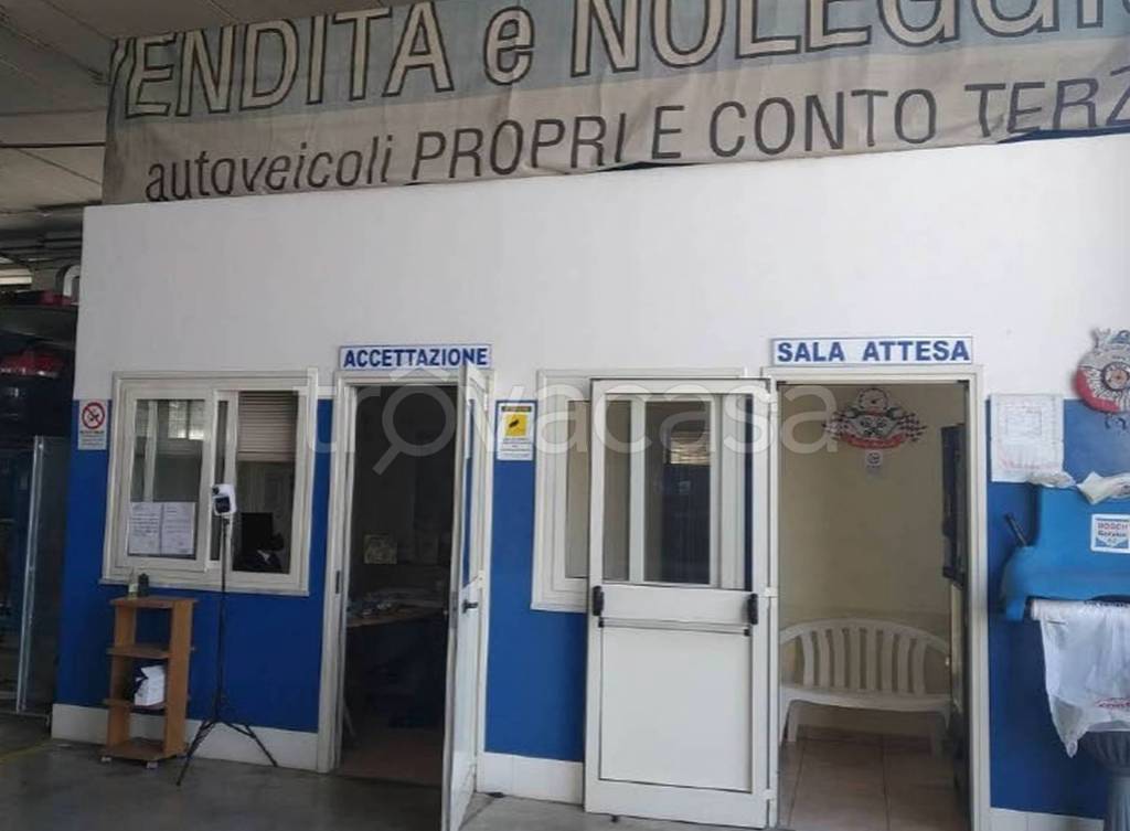 immagine annuncio 2 di 11