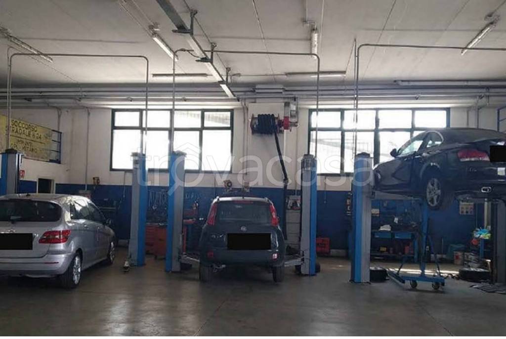 immagine annuncio 6 di 11