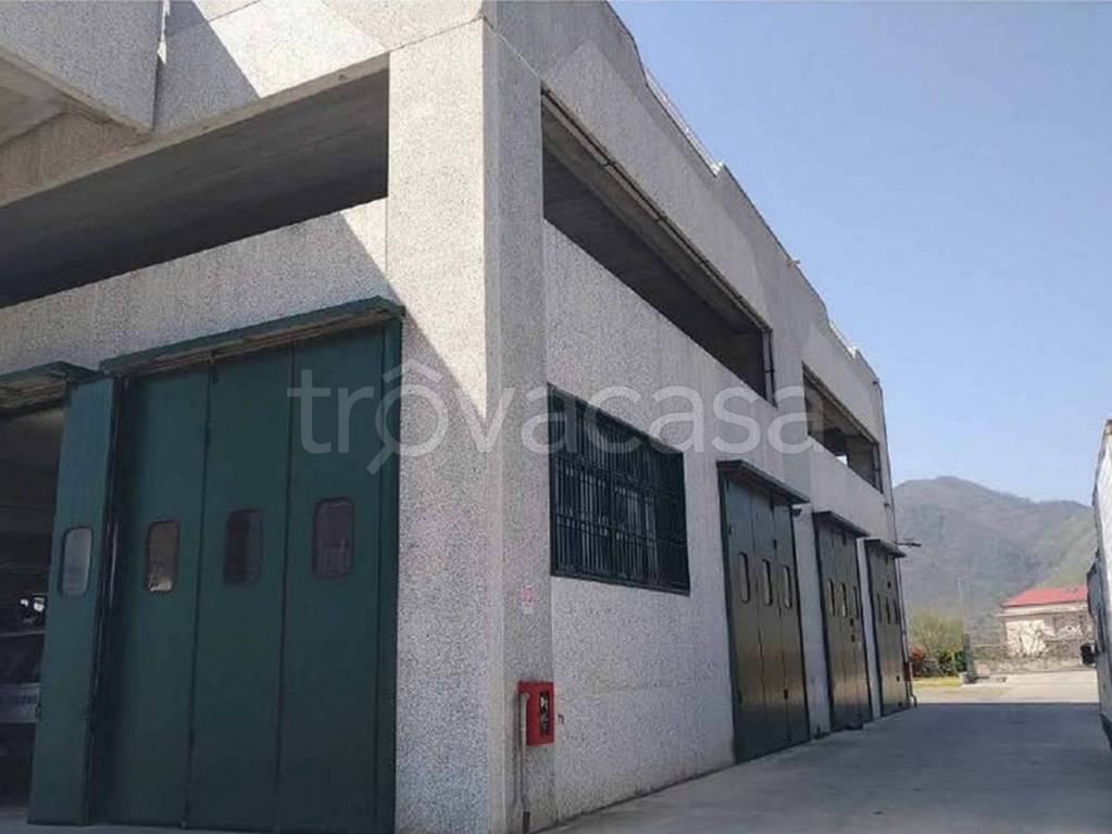 immagine annuncio 7 di 11