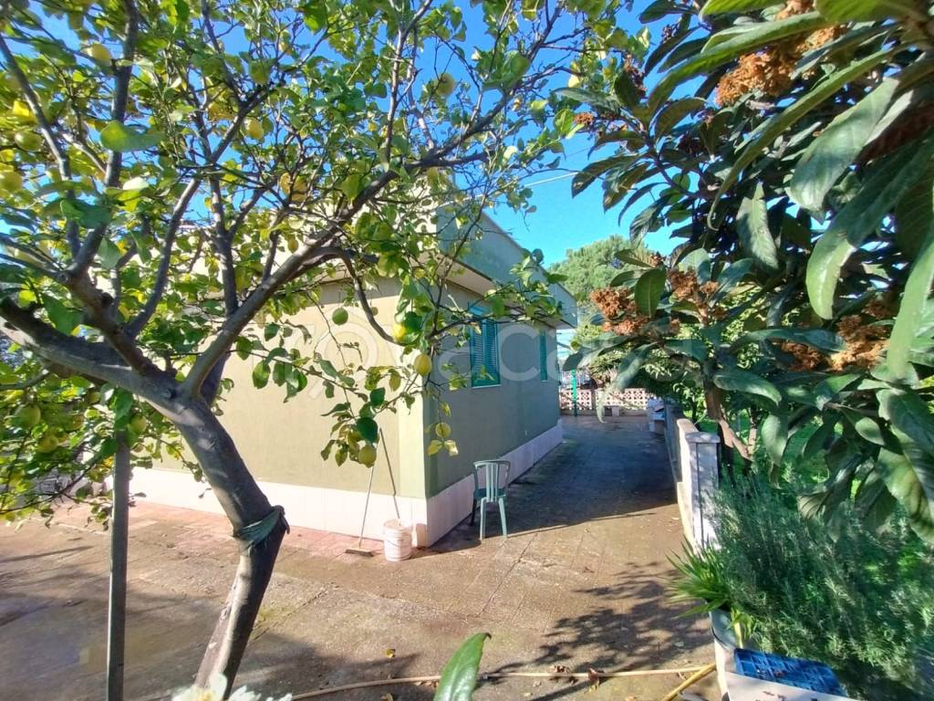 immagine annuncio 9 di 11