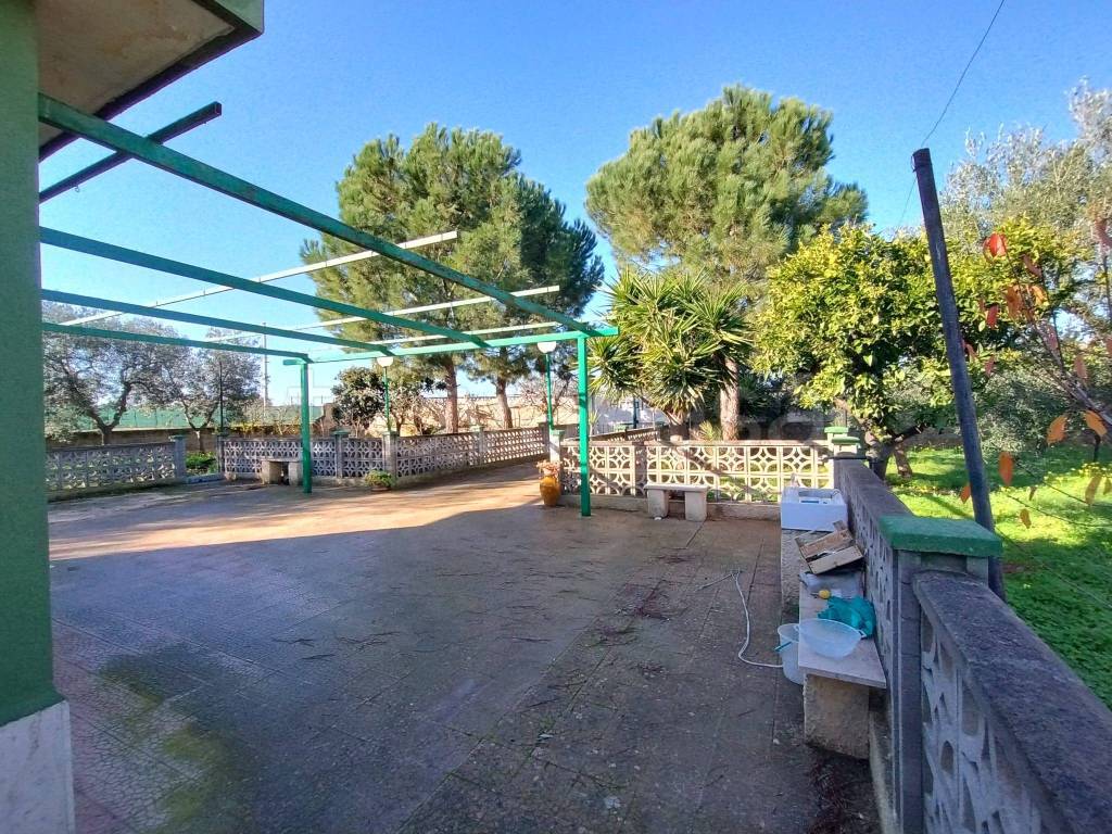 immagine annuncio 10 di 11