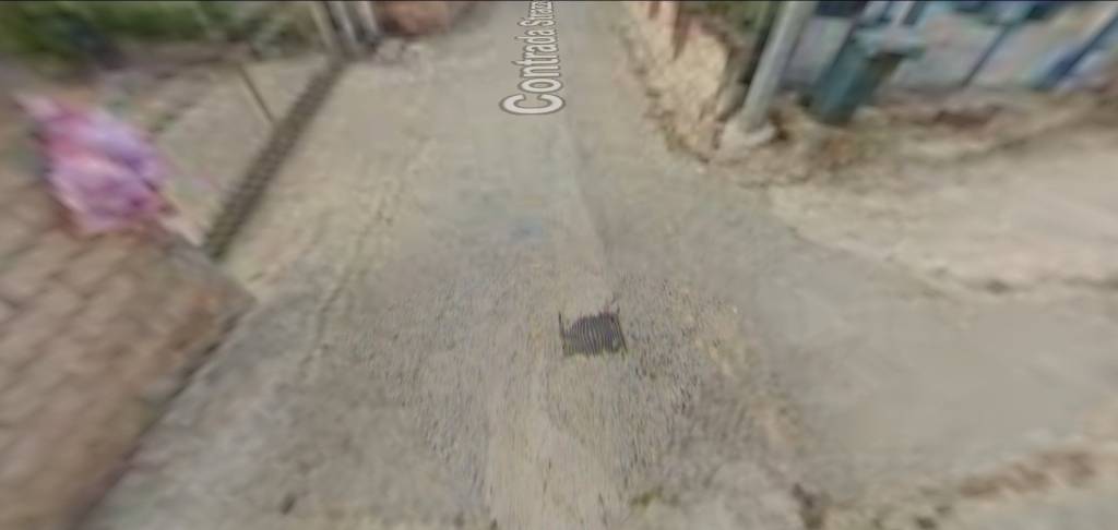 immagine annuncio 2 di 14