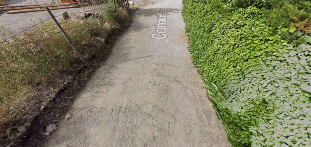 immagine annuncio 12 di 14