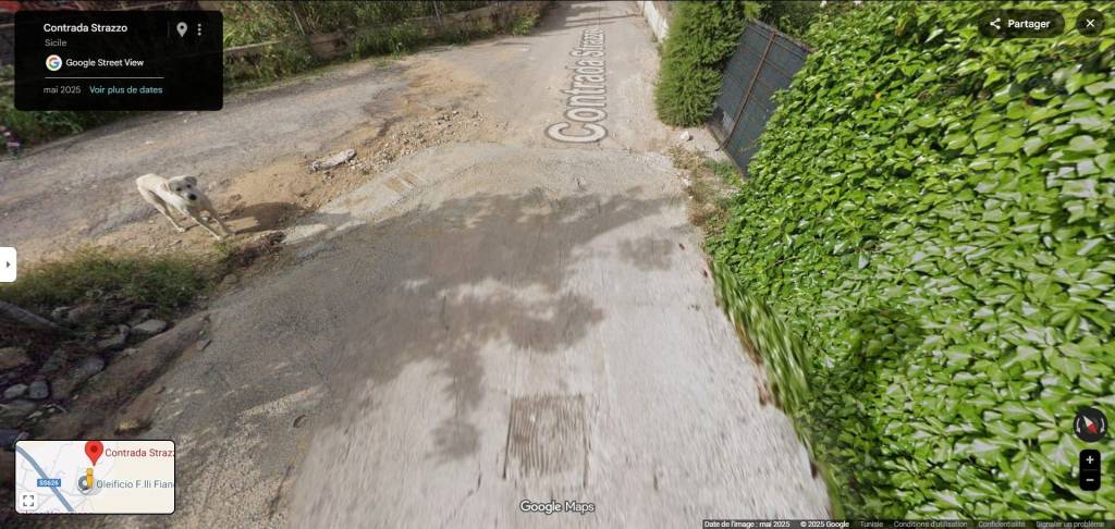 immagine annuncio 13 di 14