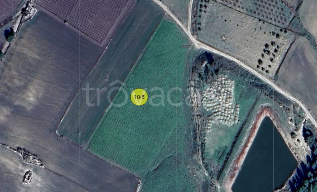 immagine annuncio 9 di 11