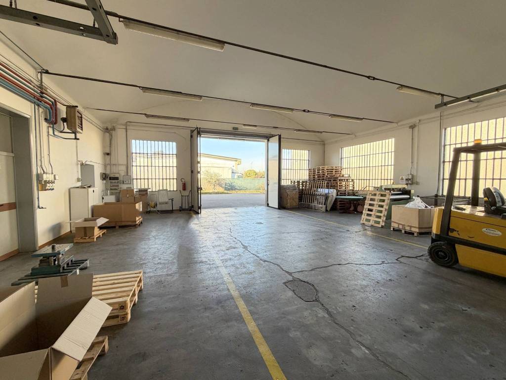 immagine annuncio 1 di 11