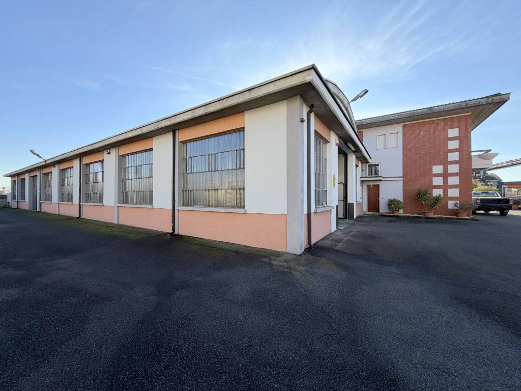 immagine annuncio 2 di 11