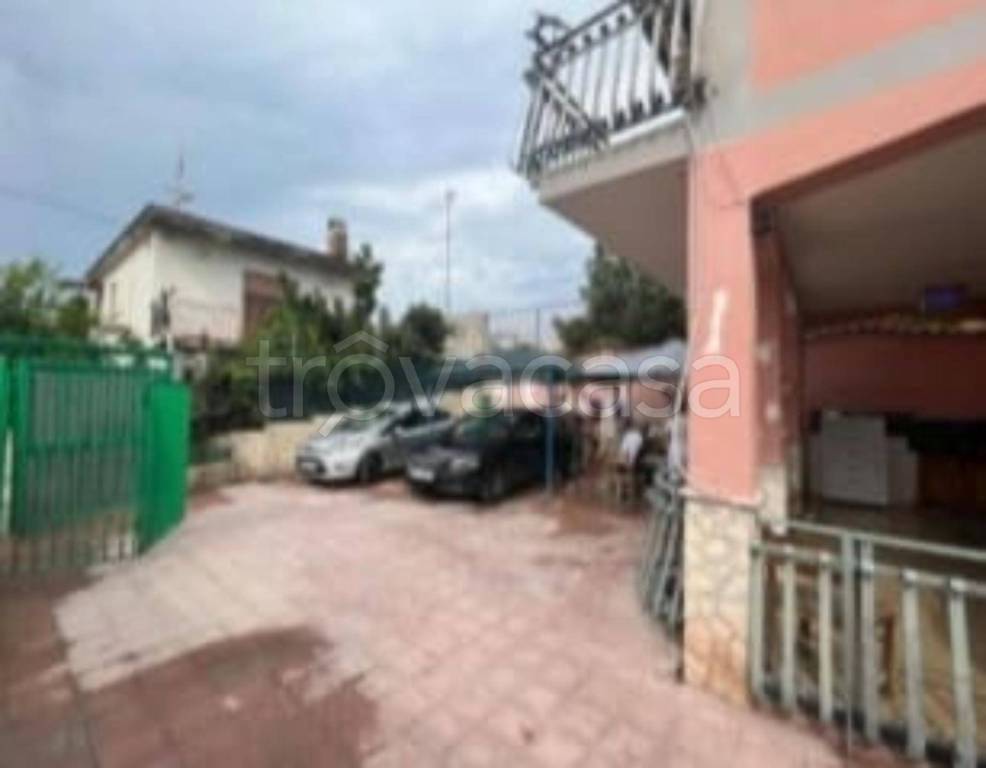 immagine annuncio 9 di 12