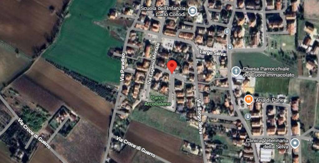 immagine annuncio 5 di 11