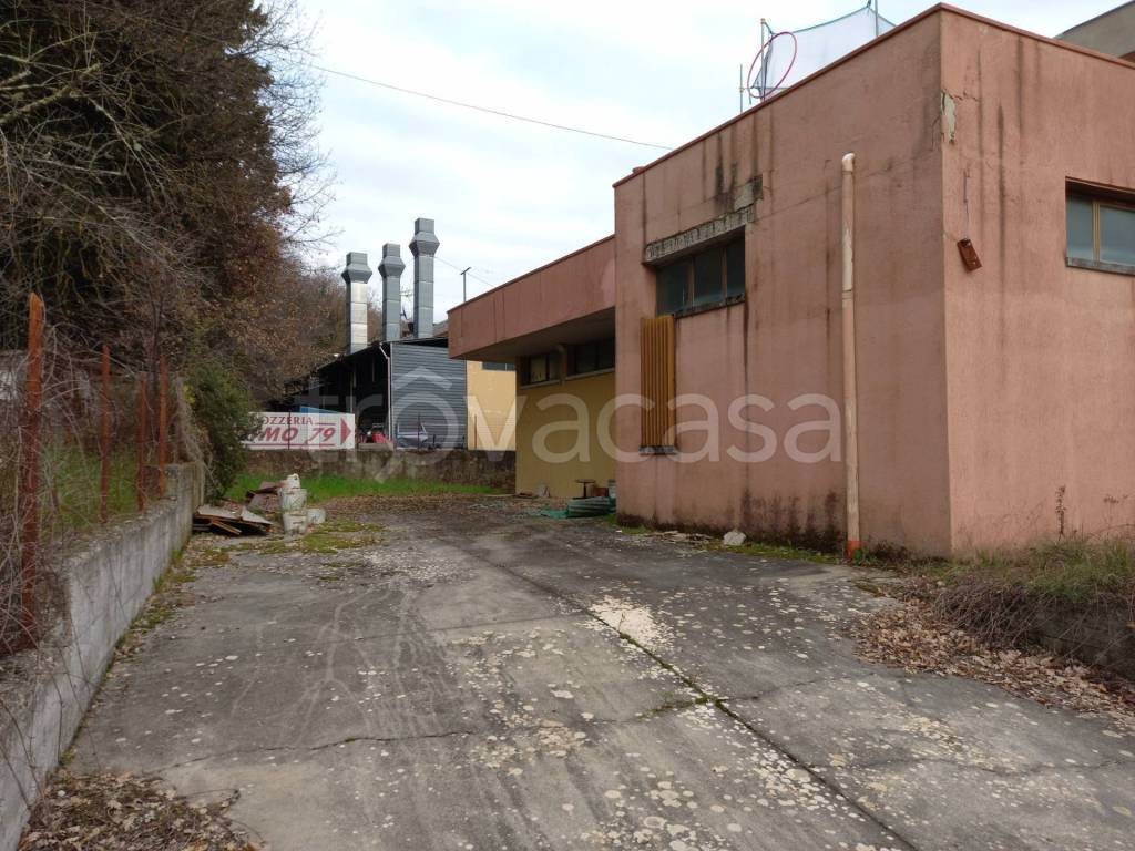 immagine annuncio 2 di 11