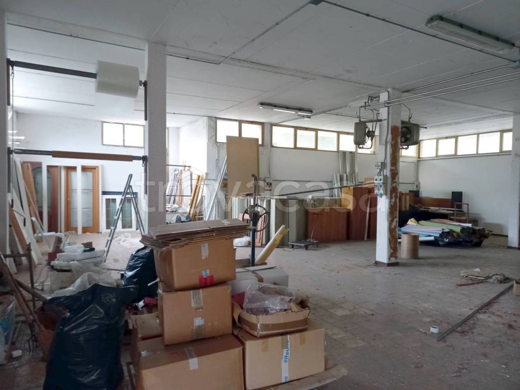 immagine annuncio 4 di 11