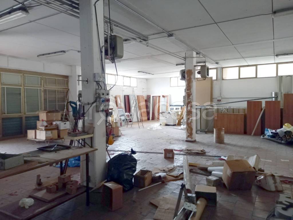 immagine annuncio 5 di 11