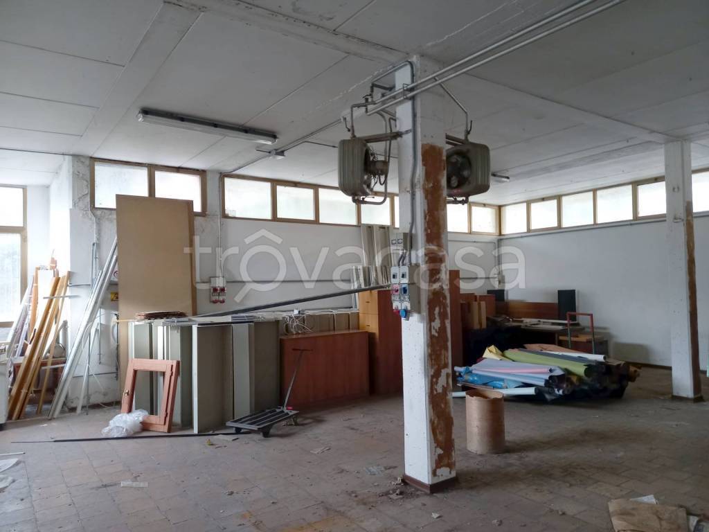 immagine annuncio 7 di 11