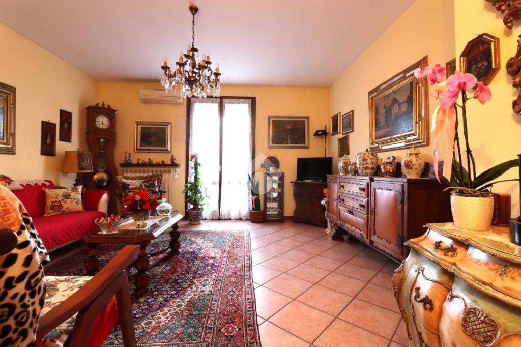 immagine annuncio 1 di 15