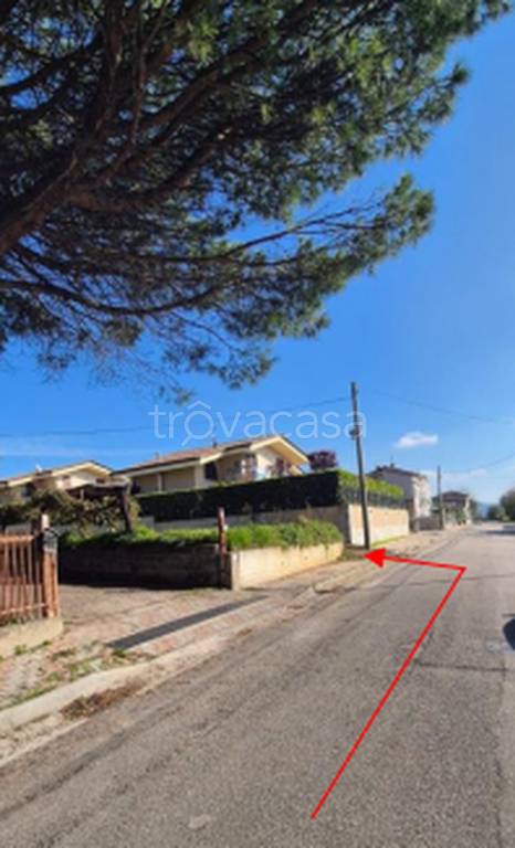 immagine annuncio 4 di 11