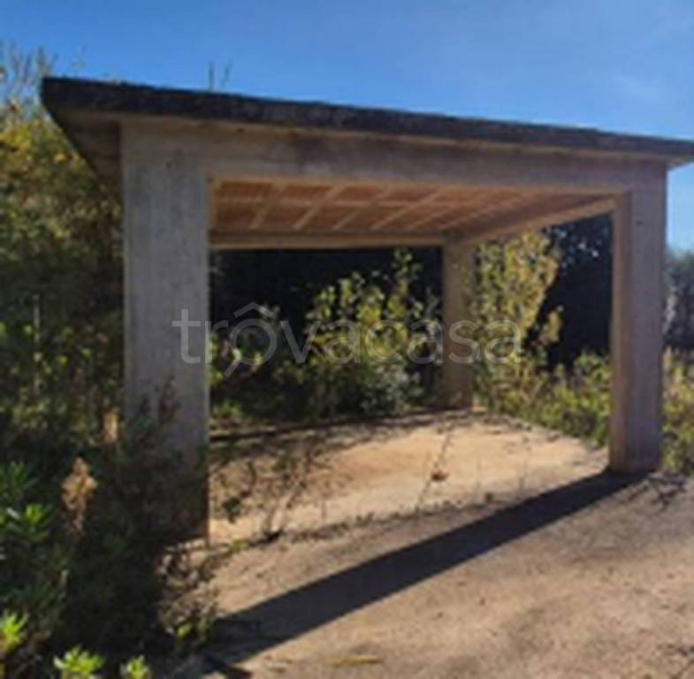 immagine annuncio 6 di 11