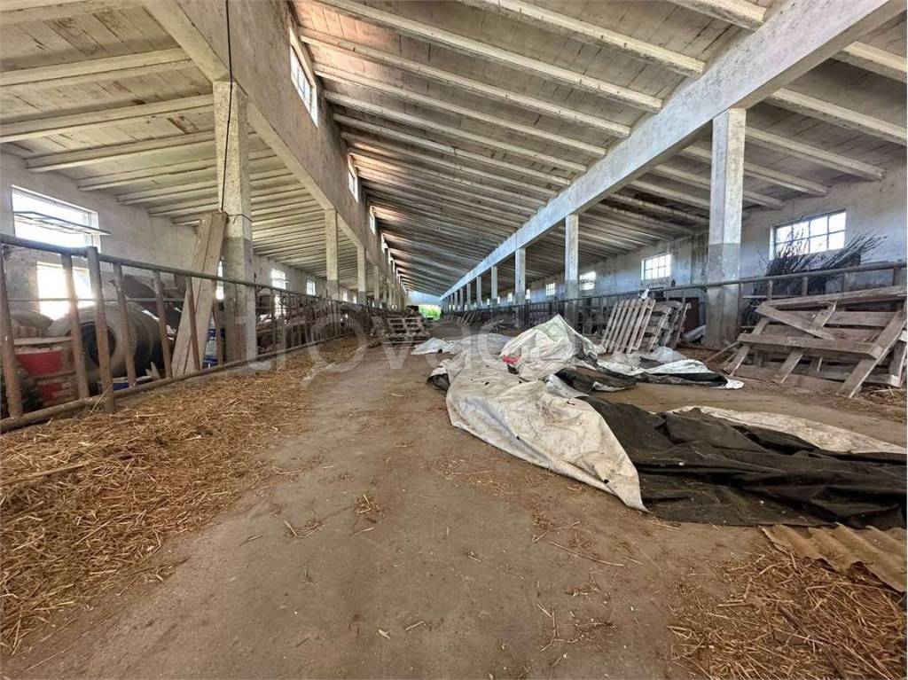 immagine annuncio 3 di 8