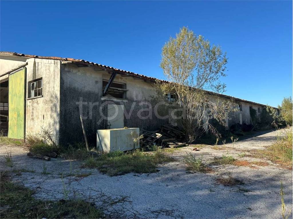 immagine annuncio 6 di 8